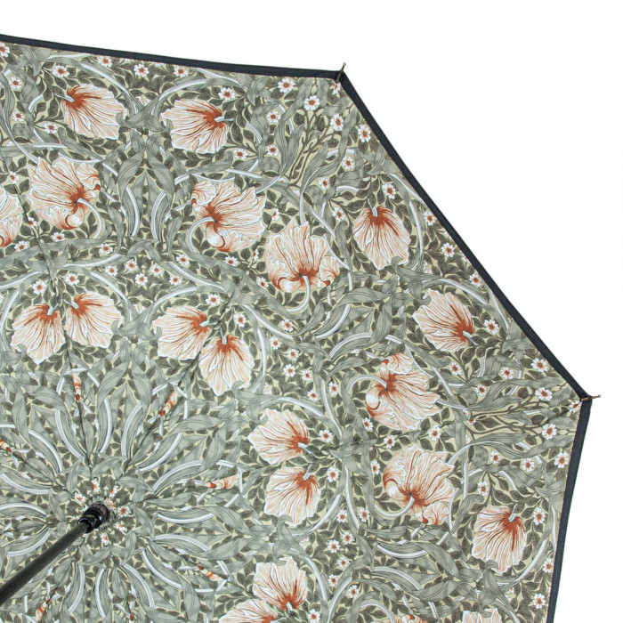 Жіноча парасолька-тростина Fulton L856 Morris & Co. Bloomsbury Pimpernel Bayleaf Manilla