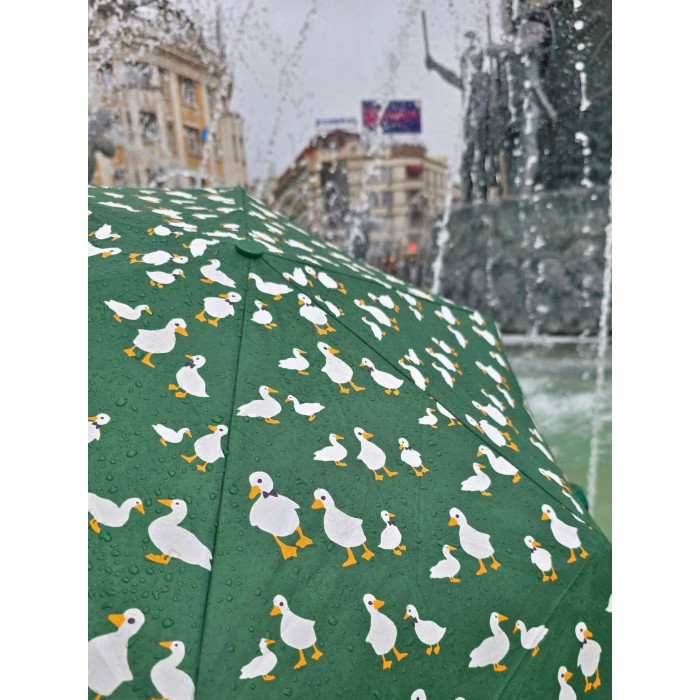 Женский зонт Fulton L926 Curio-2 UV Green Duck (Зеленая утка)