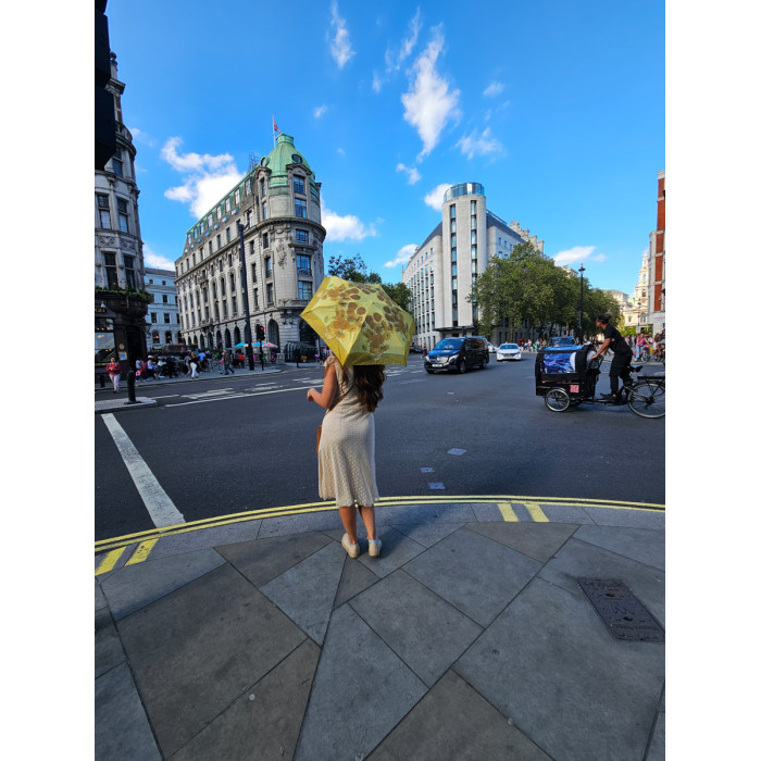 Жіноча парасолька Fulton The National Gallery Tiny-2 L794 Sunflowers (Соняшники)