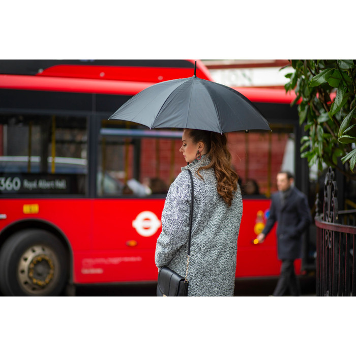 Женский зонт-трость Fulton Bloomsbury-2 L754 - Lynx (Рысь)