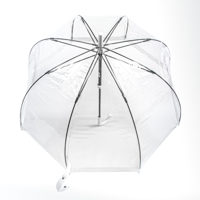 Жіноча парасолька-тростина прозора Fulton Birdcage-1 L041 White (Білий)