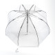 Женский зонт-трость прозрачный Fulton Birdcage-1 L041 White (Белый)
