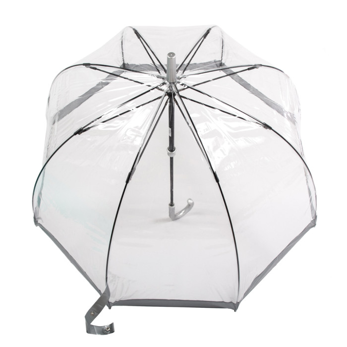 Женский зонт-трость прозрачный Fulton Birdcage-1 L041 Silver (Серебряный)