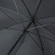 Жіноча парасолька-тростина Fulton Hampstead-1 L893 - Black (Чорний)