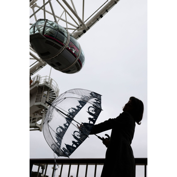Жіноча парасолька-тростина прозора Fulton Birdcage-2 L042 London Icons (Іконки)