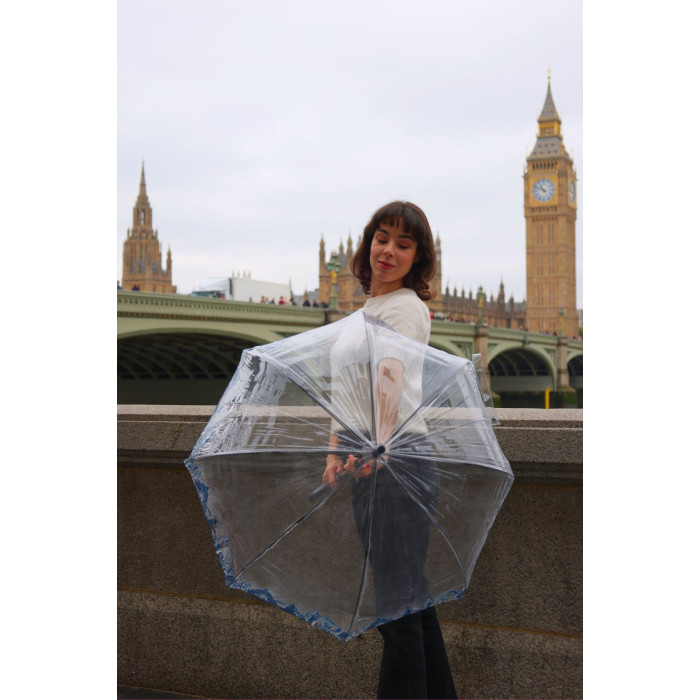 Жіноча парасолька-тростина прозора Fulton Birdcage-2 L042 London Icons (Іконки)