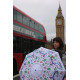 Женский зонт Fulton L354 Minilite-2 London Map (Карта Лондона)