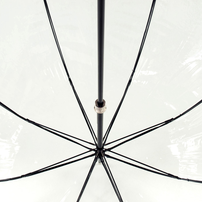Женский зонт Fulton Birdcage-2 Luxe L866 Photo Rose (Розы)